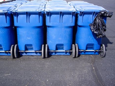 Wheeled blue trash containers