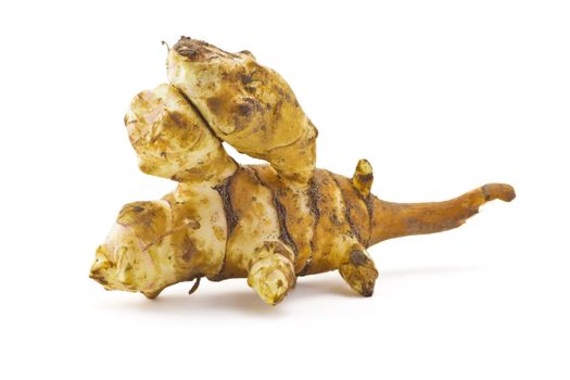 The root of Jerusalem artichoke on a white background