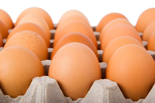 Brown eggs in a carton. Isolated on a white background