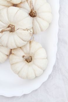 Beautiful table decorations of white pumpkins.