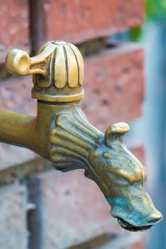 bronze fountain shaped like a dog's head