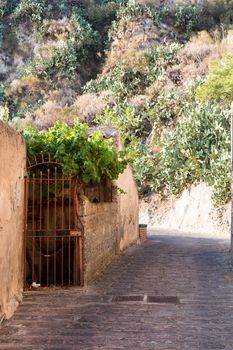 Narrow street with wrought iron gate a