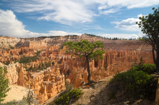 Bryce Canyon National Park, Utah USA