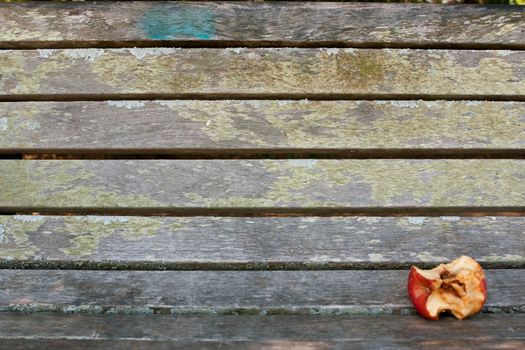 Eaten apple core sits on empty park bench