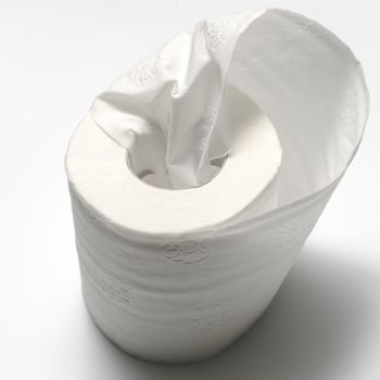 tissue on a white background