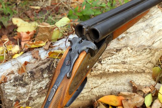 A wooden retro shotgun in autumn style