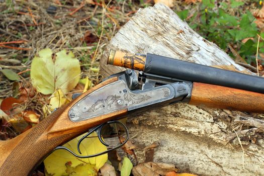 A wooden retro shotgun with shot in autumn style