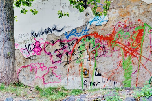 Photo shows the graffiti city wall with tree.