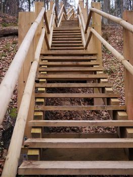 Wooden Stair in the  deep Forest in Latvia, Sigulda