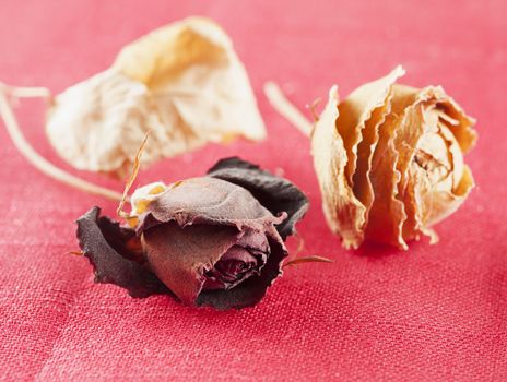 Two dried roses over red tissue background