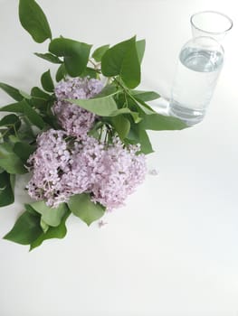 Lilac branches and water glass vase