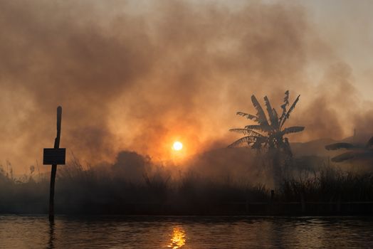 Fire and smoke on tropical fields and gardens on sunset