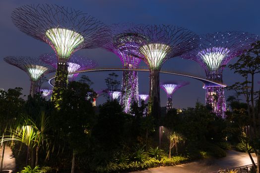Singapore Gardens by the Bay night view with amazing illumination. 