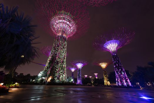 Singapore Gardens by the Bay night view with amazing illumination. 