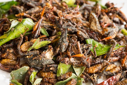 Fried edible insects mix with green lime leaves.  Fried insects are regional delicacies food in Thailand 