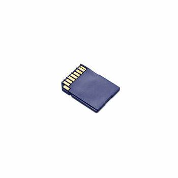 sd card on a white background