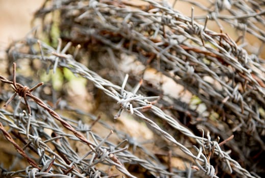 an old rusty barbed wire
