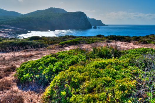 Landscape of coast of Sardinia with green grass in foreground and sea in background