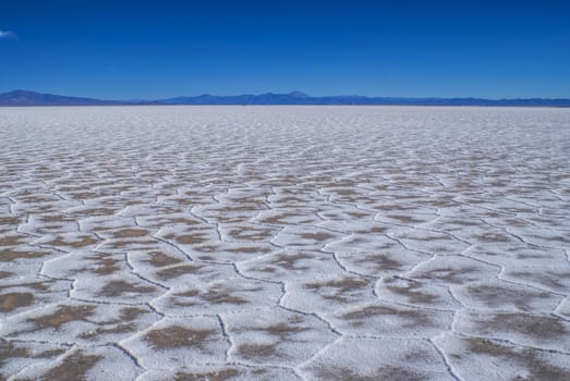 Unusual texture on the surface of salt planes Salina Grandes in Argentina