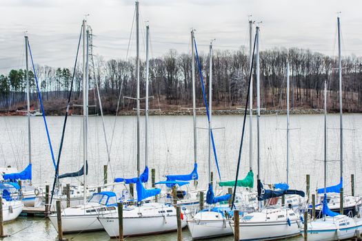 parked yachts in harbour with cloudy skies