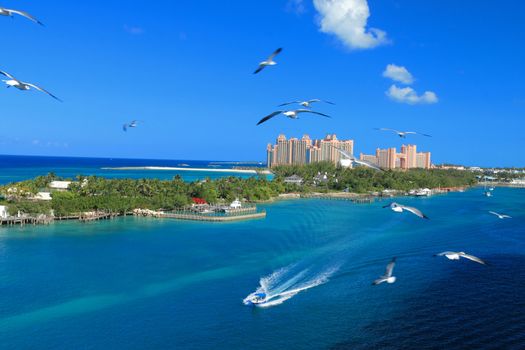 Bahamas pier landscape in Nassau city , Caribbean