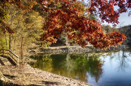 Autumn Landscape. Park in Autumn. The bright colors of autumn in the park by the lake.