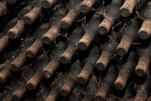 Old bottles of wine in rows in wine cellar.