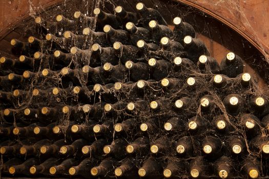 Old bottles of wine in rows in wine cellar.