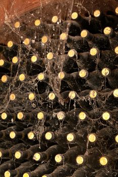 Old bottles of wine in rows in wine cellar.