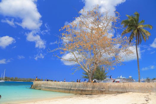 Bahamas pier landscape in Nassau city , Caribbean