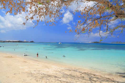 Bahamas pier landscape in Nassau city , Caribbean