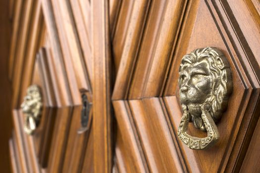 Lion head knockers on a wodden door.