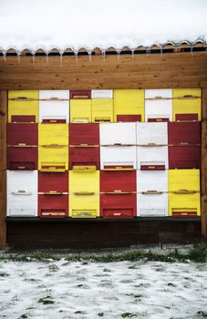 Bee hive in wodden house covered with snow