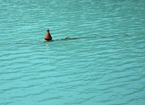 Bouy floating in the blue water.