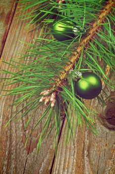 Christmas Decoration with Two Green Baubles on Fluffy Green Pine Branch with Long Needles closeup on Rustic Wooden background