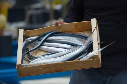 freshly caught garfish ready for sale