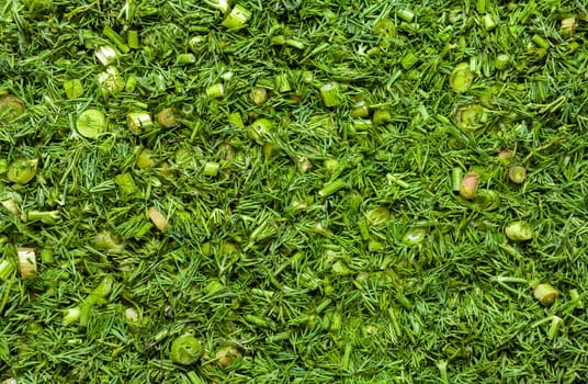 Fresh dill sprigs on wooden board cutting with knife