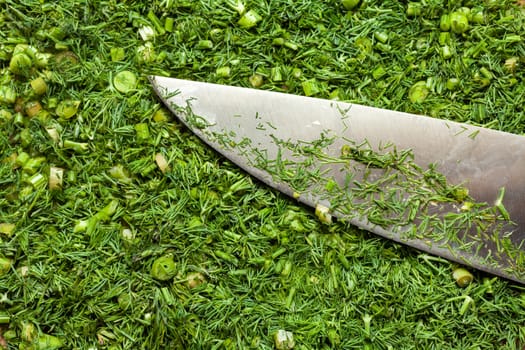 Fresh dill sprigs on wooden board cutting with knife