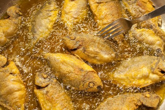 Small fishes of the Greek sea roasted in the frying pan