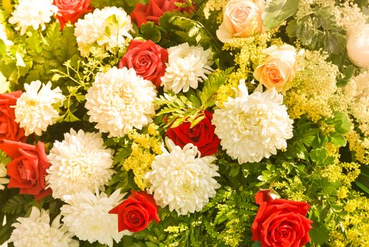 White daisies flower and red rose