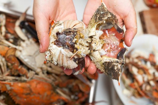 Pile of freshly steamed blue crabs