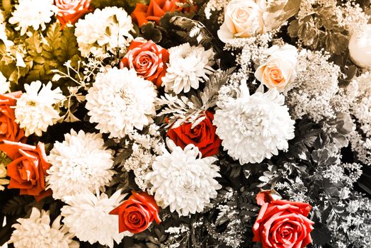 White daisies flower and red rose