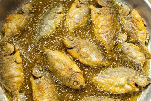 Small fishes of the Greek sea roasted in the frying pan
