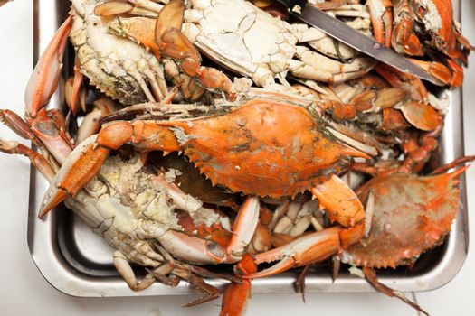 Pile of freshly steamed blue crabs