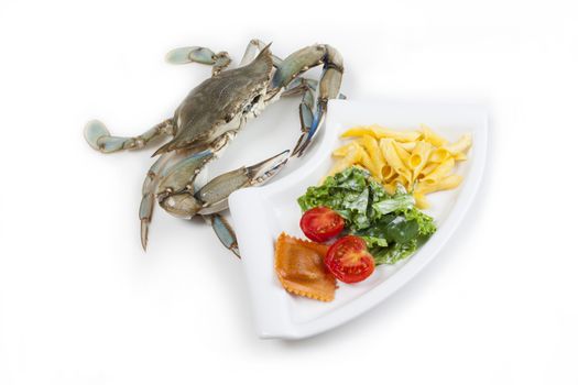 Blue crab on white background ready to eat a meal
