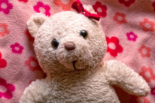 Little fluffy teddy bear on pink blanket