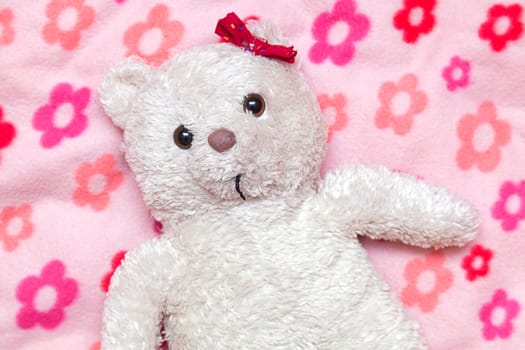 Little fluffy teddy bear on pink blanket