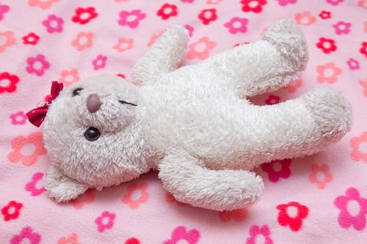 Little fluffy teddy bear on pink blanket