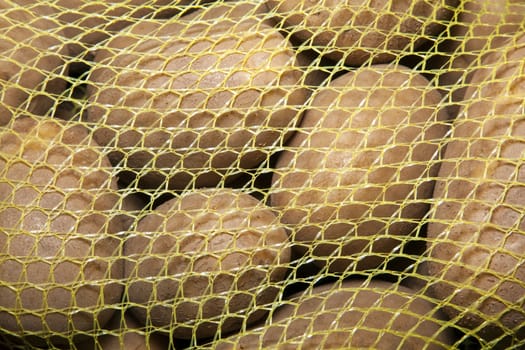 Fresh potatoes in the net and on white background