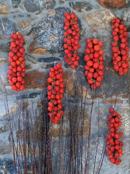 Typical bunch of drying tomatoes on the balconies of Pirgy in Chios island - Greece